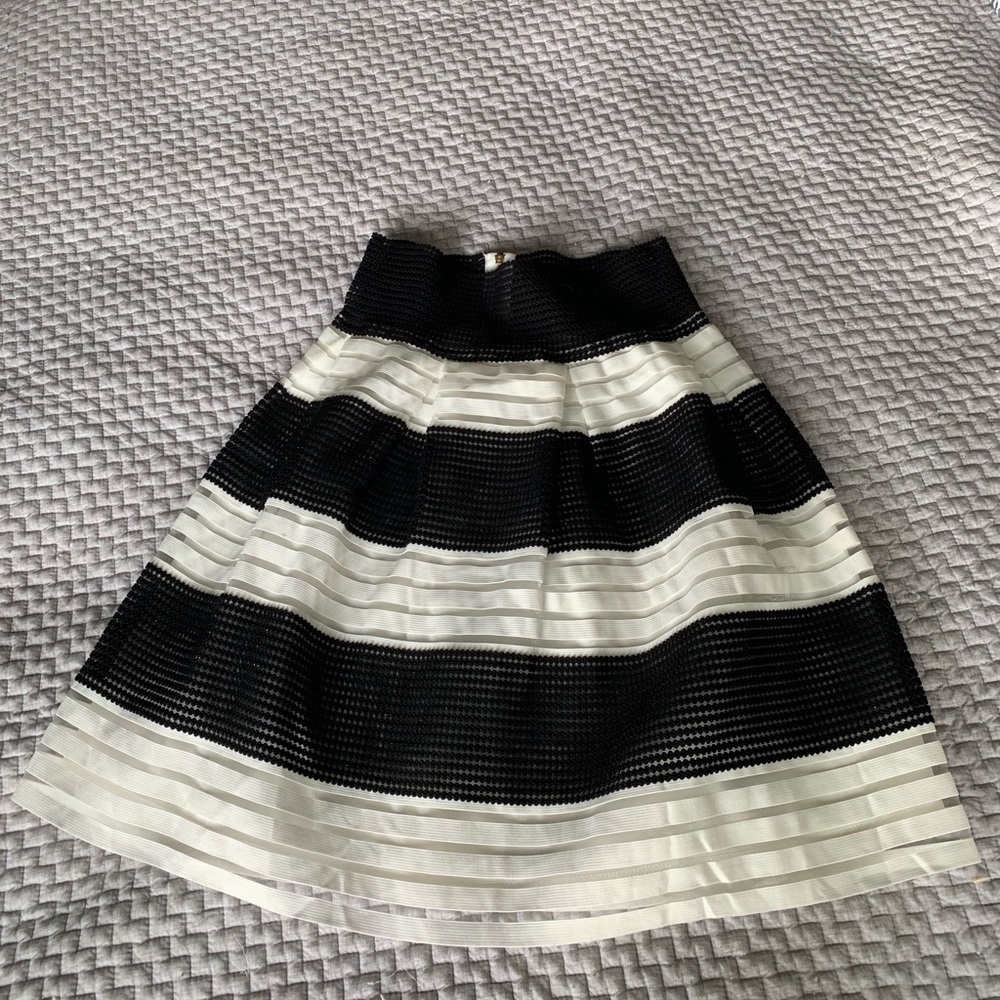 High Waisted Party Skirt